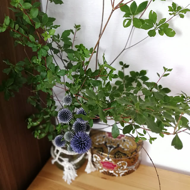 y.kojia79さんの実例写真