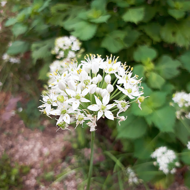 min_nimさんの実例写真