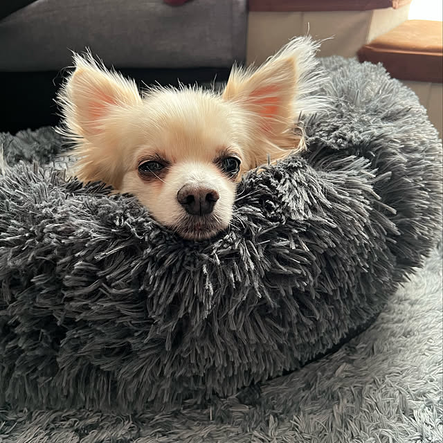 ya-coさんの実例写真