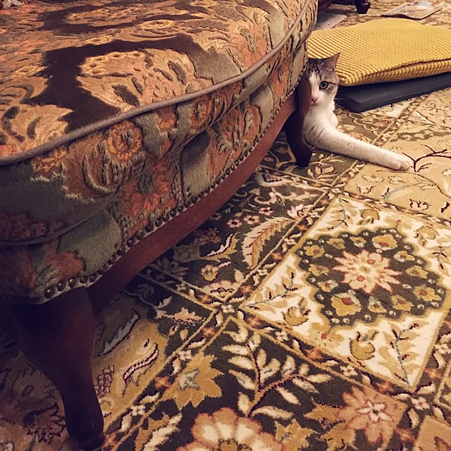 emmyyさんの実例写真