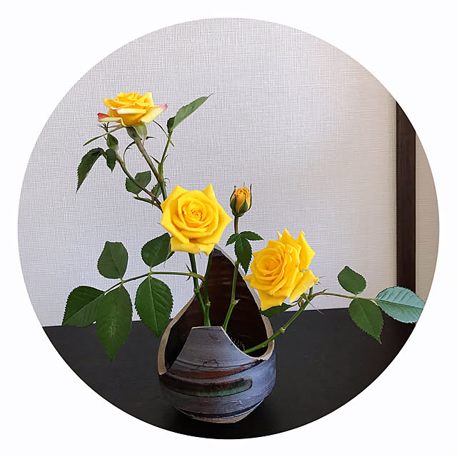 reiさんの実例写真