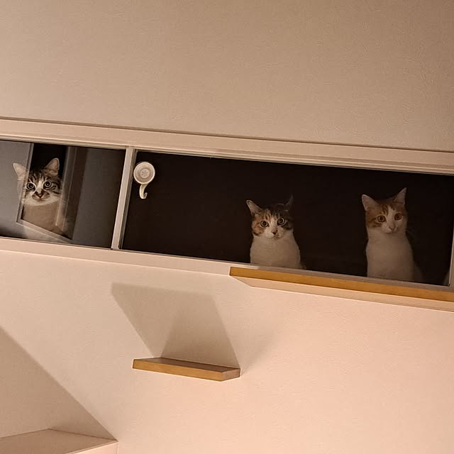 mugikoさんの実例写真