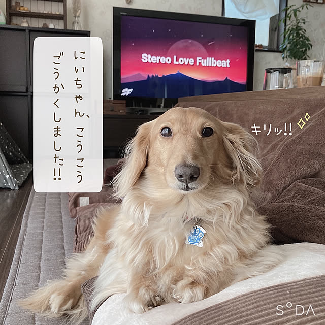 -Riley-mama.-さんの実例写真