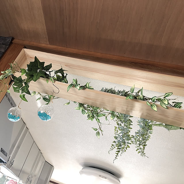 100均/ナチュラル/観葉植物/壁/天井のインテリア実例 - 2019-05-07 15:38:07