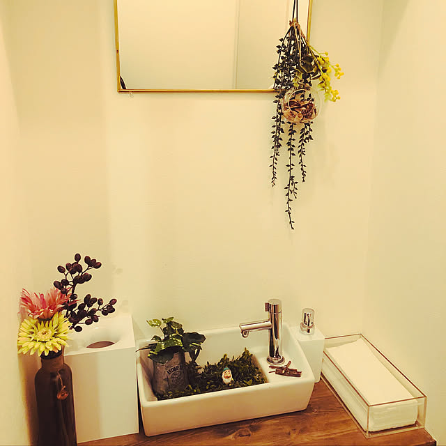 バス/トイレ/ダイソー/セリア/観葉植物/無印良品のインテリア実例 - 2018-02-25 20:03:29