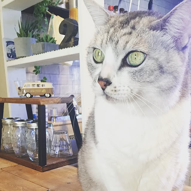 runtenさんの実例写真