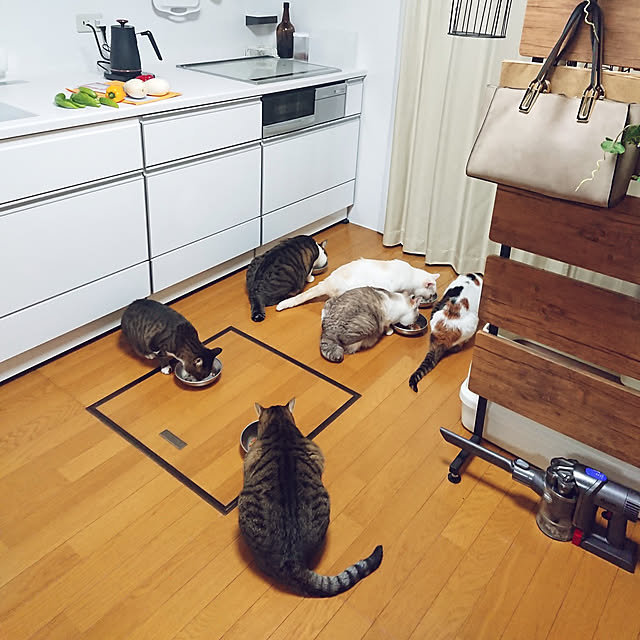 nachiさんの実例写真