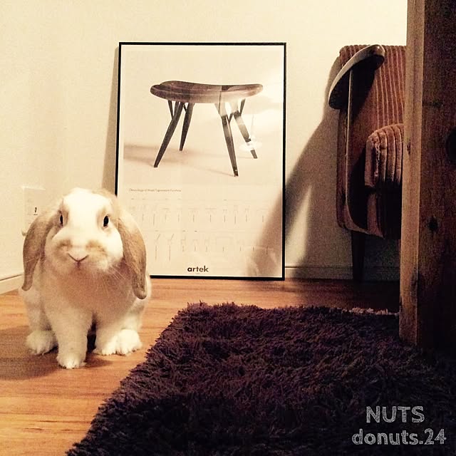nutsさんの実例写真