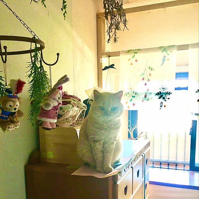 naokoさんの実例写真