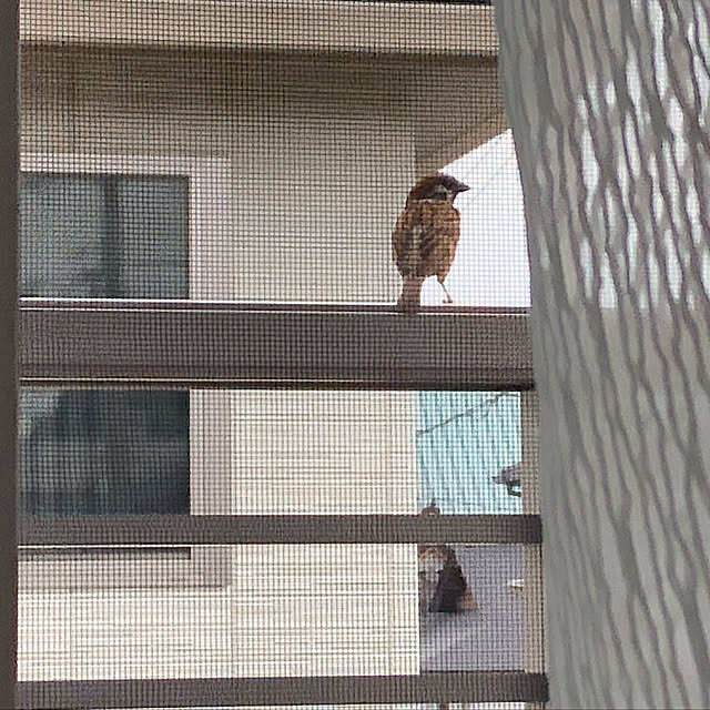 Rororiさんの実例写真