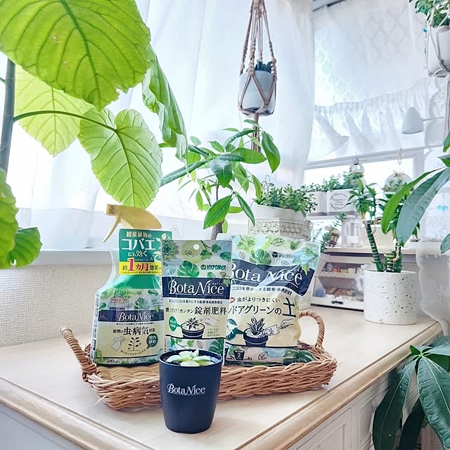 pinonさんの実例写真