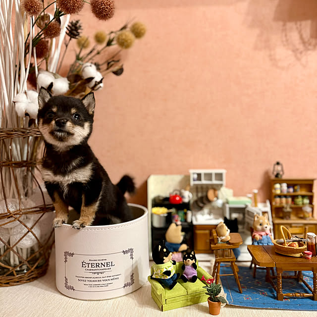 aboruさんの部屋