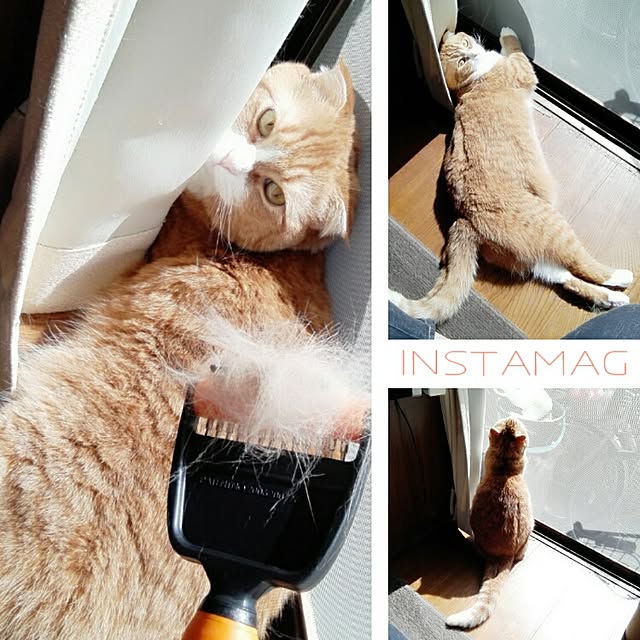 kumingさんの実例写真