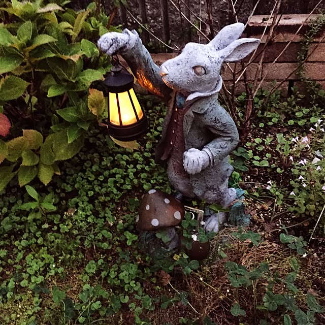 rietiさんの実例写真