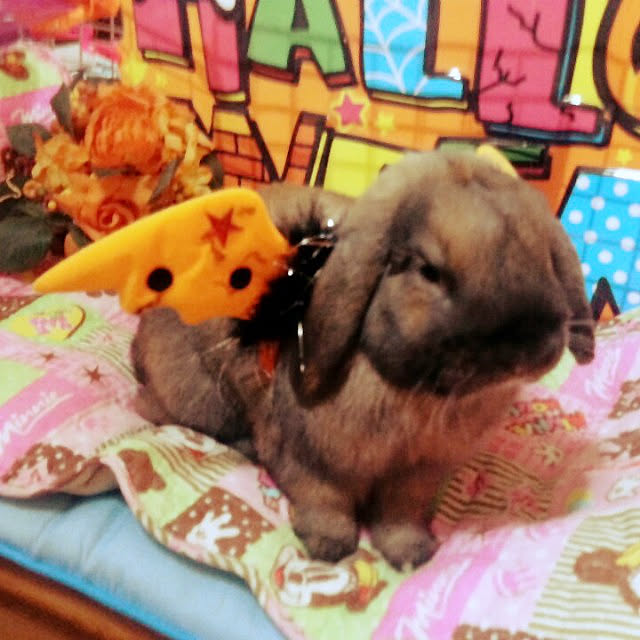 mariaさんの実例写真