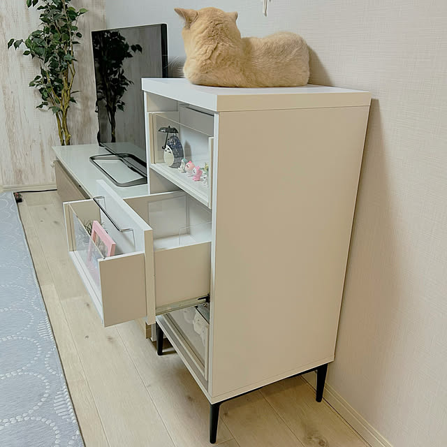 rilakkumamaさんの部屋