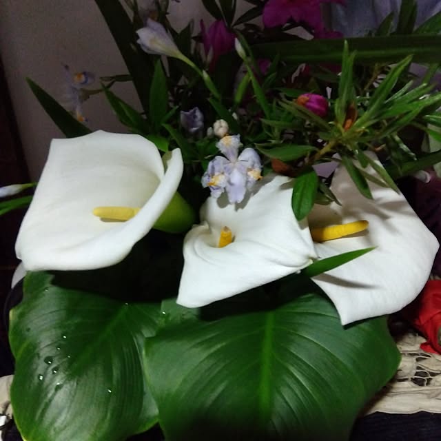 coco1204さんの部屋