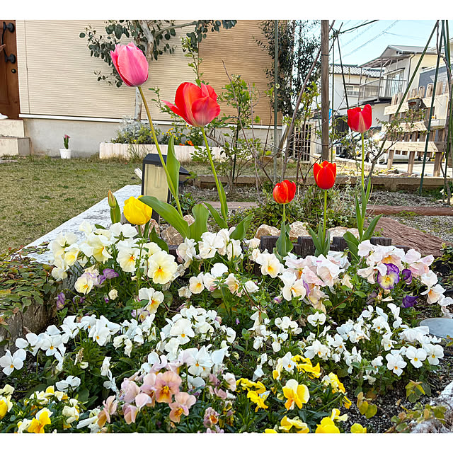 kaさんの実例写真