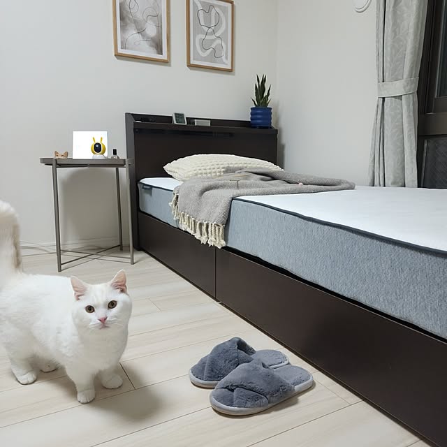 tomatoさんの実例写真