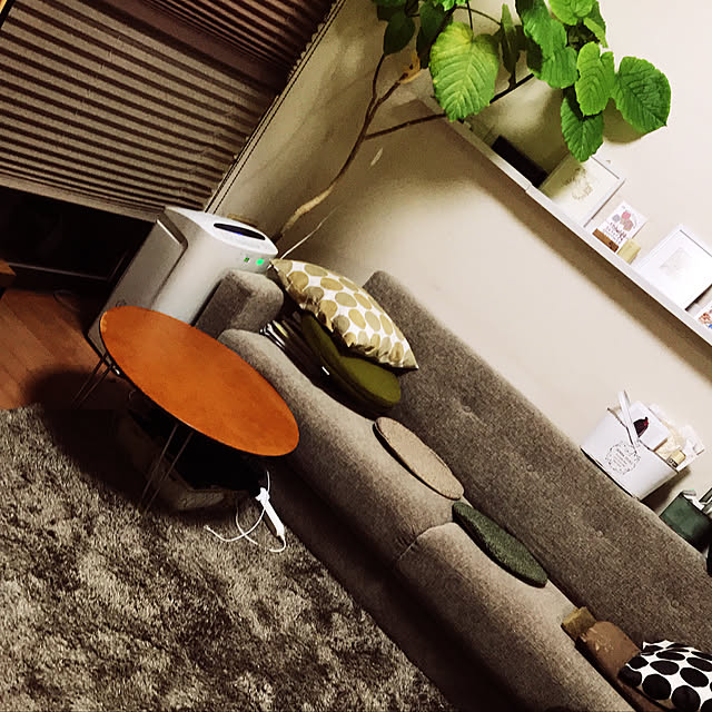 cagosukiさんの実例写真