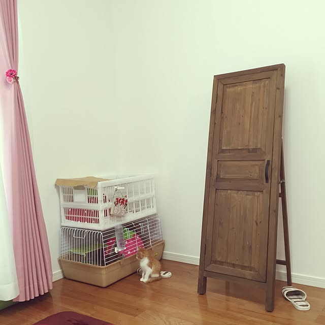 Mi-Koさんの実例写真