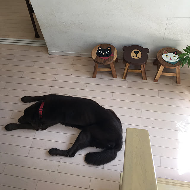 2233B.Bさんの実例写真