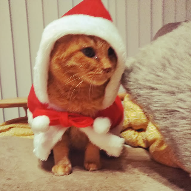 hanacocoさんの実例写真