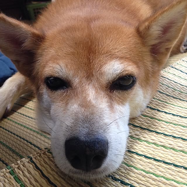 tammyさんの実例写真