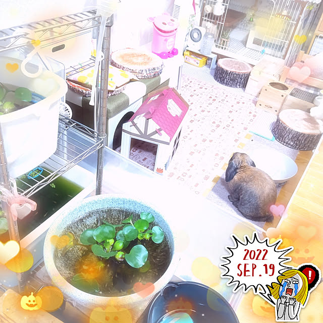 mariaさんの実例写真