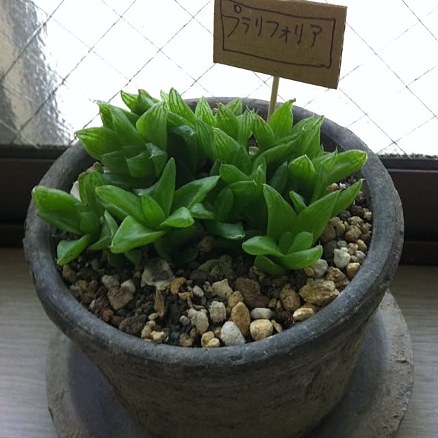 k-grainさんの実例写真