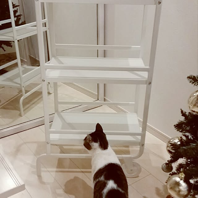 runayucoさんの実例写真