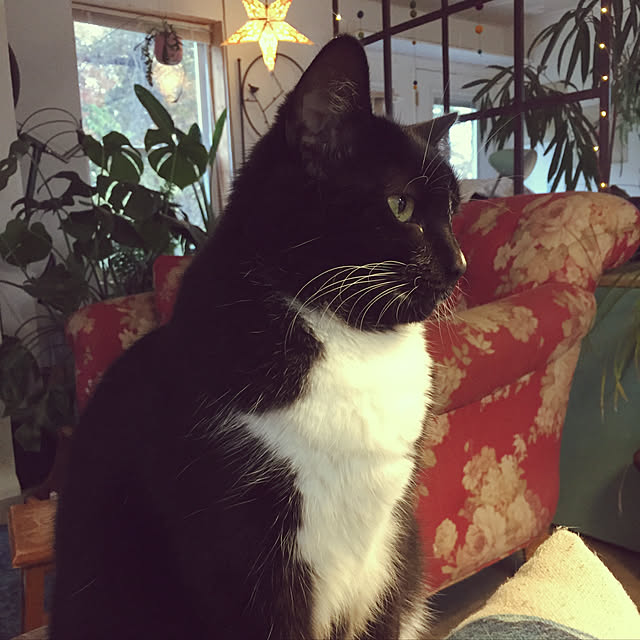 GeorgiaOlinさんの実例写真