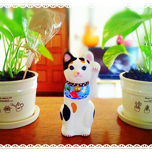 LittleMyさんの実例写真