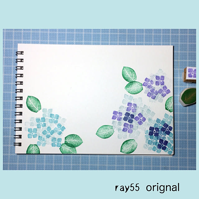 ray55さんの実例写真