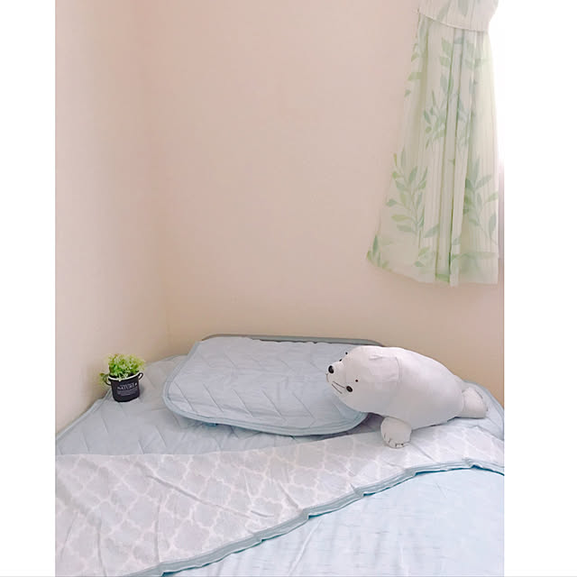tmさんの実例写真