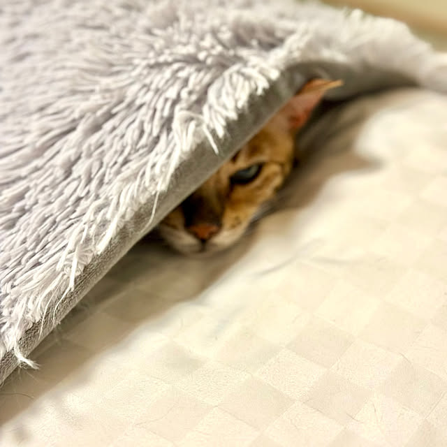 nene6さんの部屋