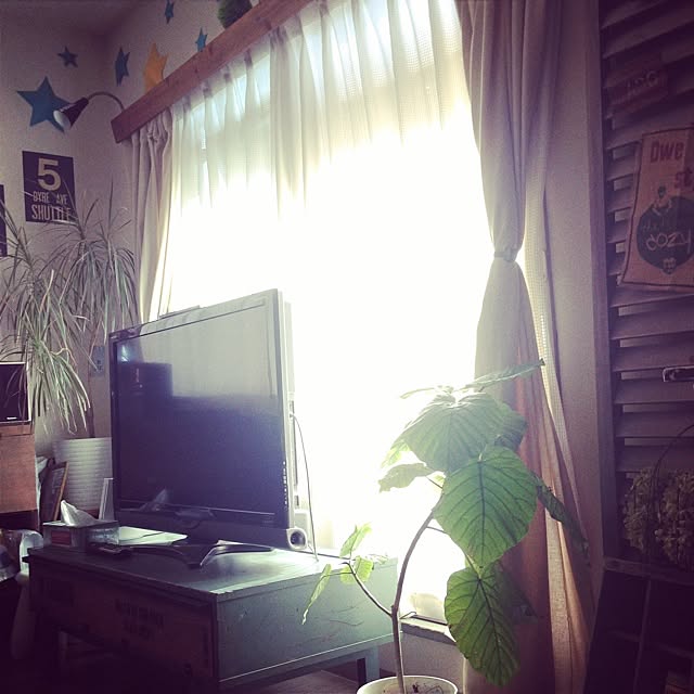 kaoringo.muimuiさんの実例写真
