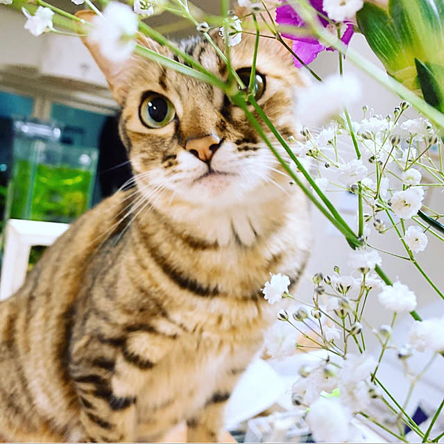 harukaさんの実例写真