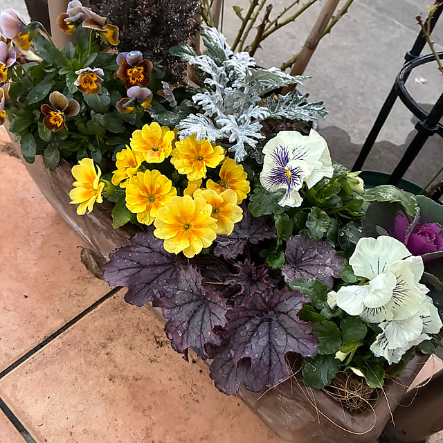 leepo5さんの実例写真