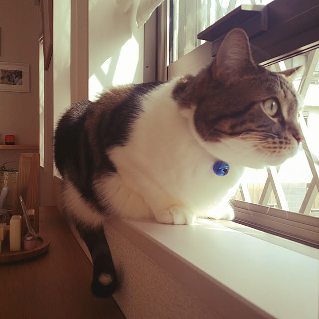 erizabesさんの実例写真