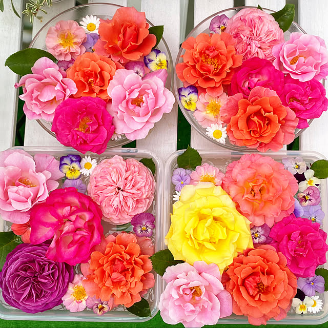 HappyRoseさんの実例写真