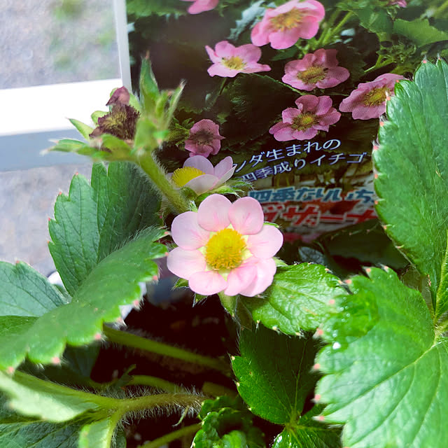 tomoさんの部屋
