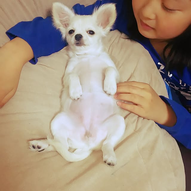 nikoさんの実例写真