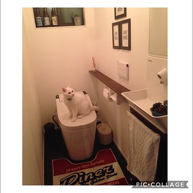 Kyaoさんの実例写真