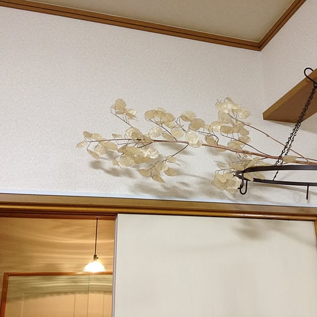 壁/天井のインテリア実例 - 2012-08-02 22:59:11