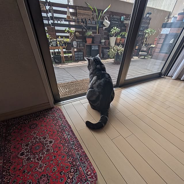 lovepeaceさんの部屋