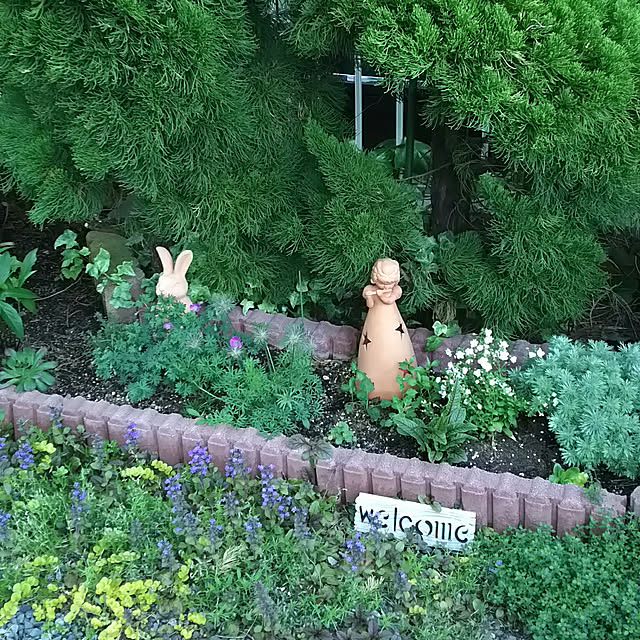chiikokunさんの実例写真