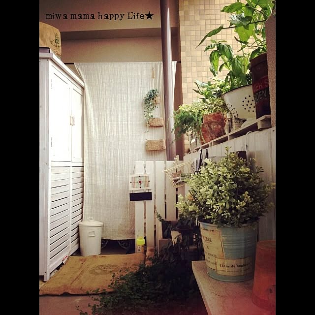 miwaさんの実例写真