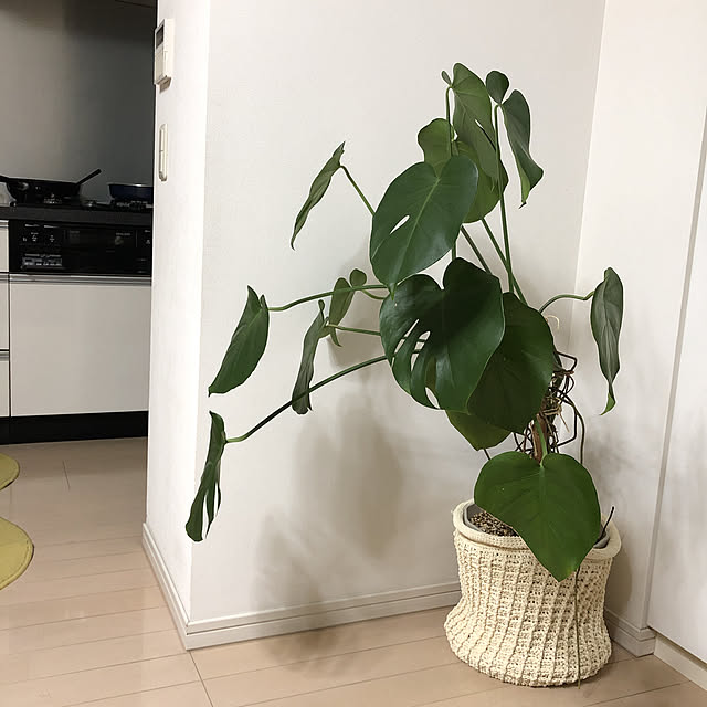 yukirinさんの実例写真