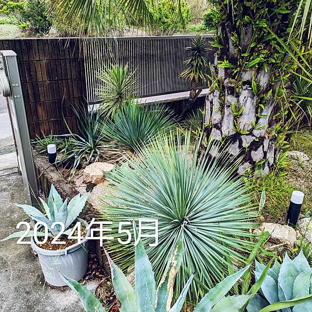 ot-gardenさんの部屋